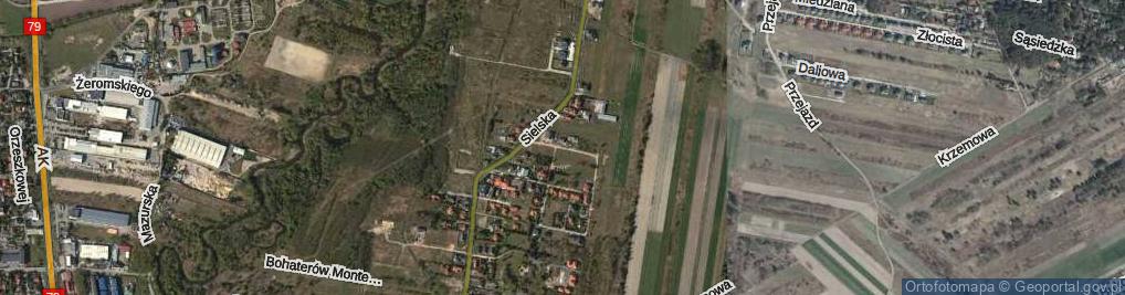 Zdjęcie satelitarne Żubra ul.