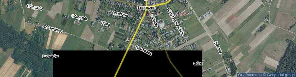Zdjęcie satelitarne Żurowskiej-Machałowej Natalii ul.