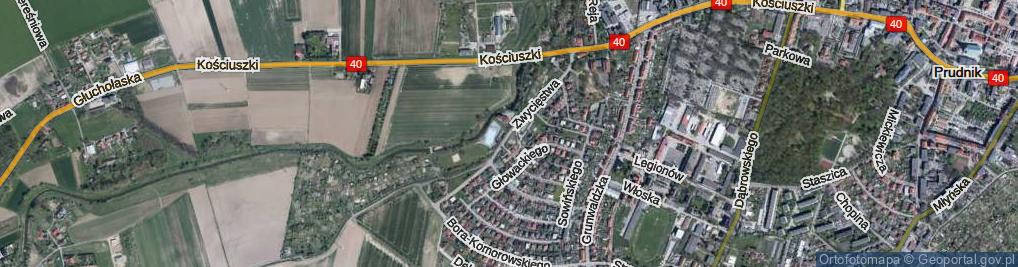 Zdjęcie satelitarne Zwycięstwa ul.