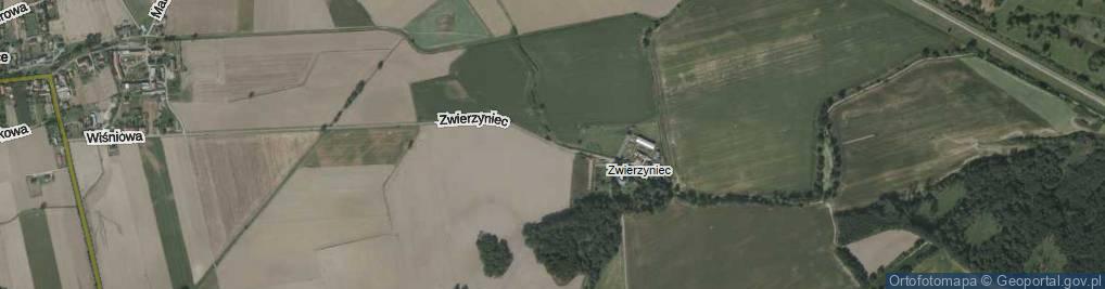 Zdjęcie satelitarne Zwierzyniec ul.
