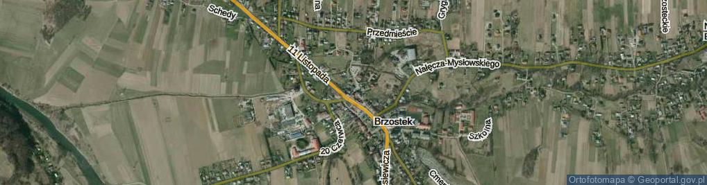 Zdjęcie satelitarne Żydowska ul.