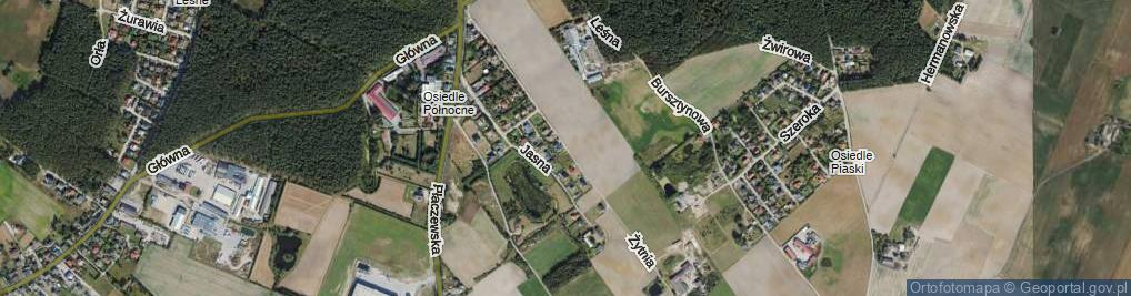 Zdjęcie satelitarne Żytnia ul.