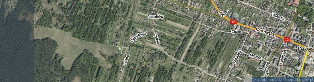 Zdjęcie satelitarne Żytnia ul.