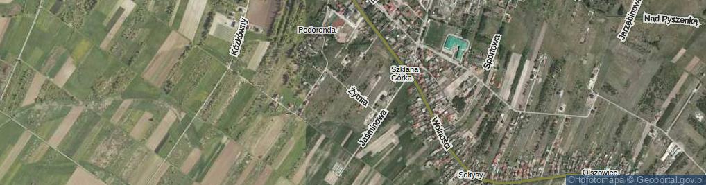 Zdjęcie satelitarne Żytnia ul.