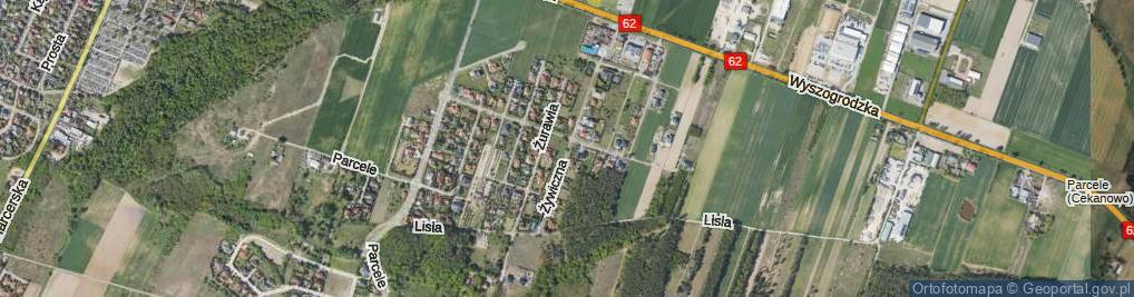 Zdjęcie satelitarne Żywiczna ul.