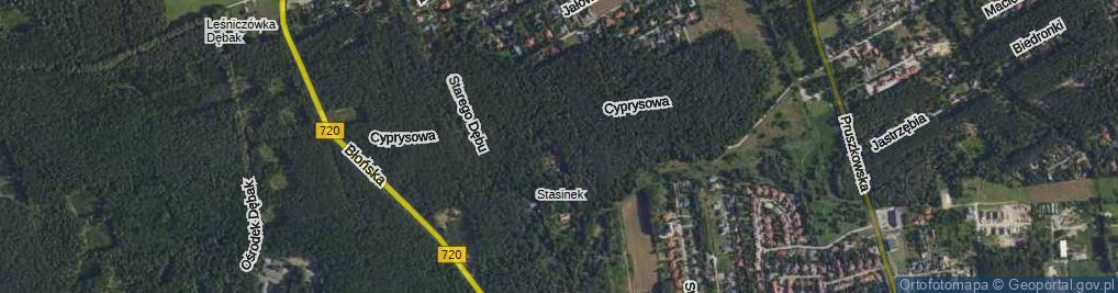 Zdjęcie satelitarne Żywiczna ul.