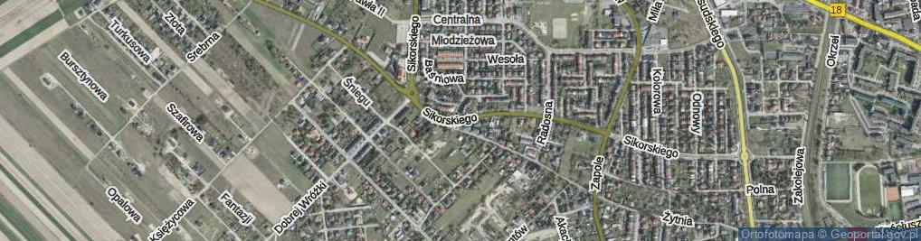 Zdjęcie satelitarne Żytnia ul.