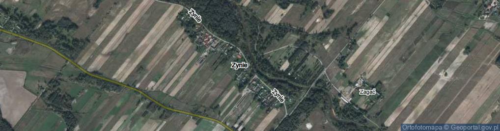 Zdjęcie satelitarne Zynie ul.