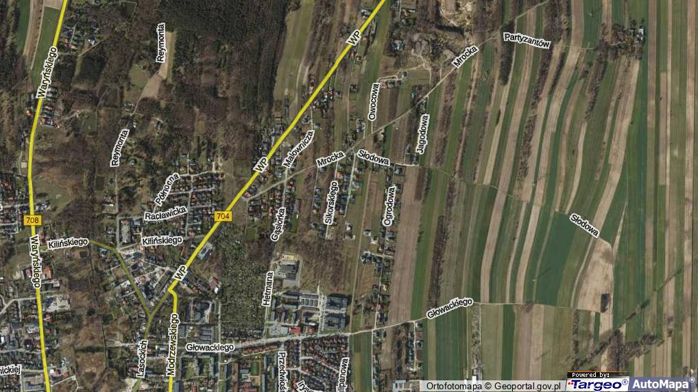 Porzeczkowa Brzeziny, Ulica, 95060