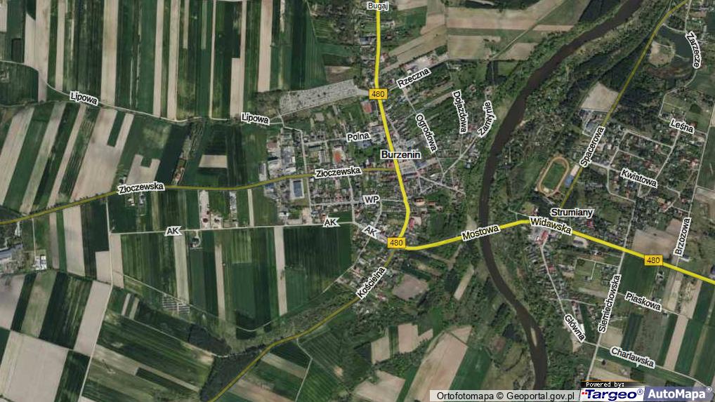 Wojska Polskiego Burzenin, Ulica, 98260