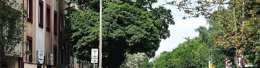 Zdjęcie w galerii Brodowicza Józefa Kraków nr 1