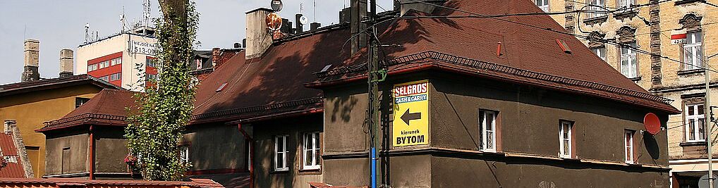 Zdjęcie w galerii Kalidego Teodora Chorzów nr 1