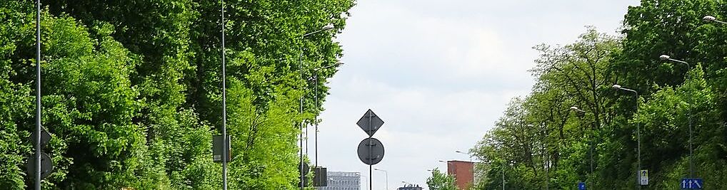 Zdjęcie w galerii Kamieńskiego Henryka, gen. nr 1