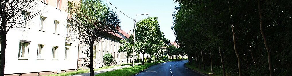 Zdjęcie w galerii Kołodzieja Pawła Katowice nr 1