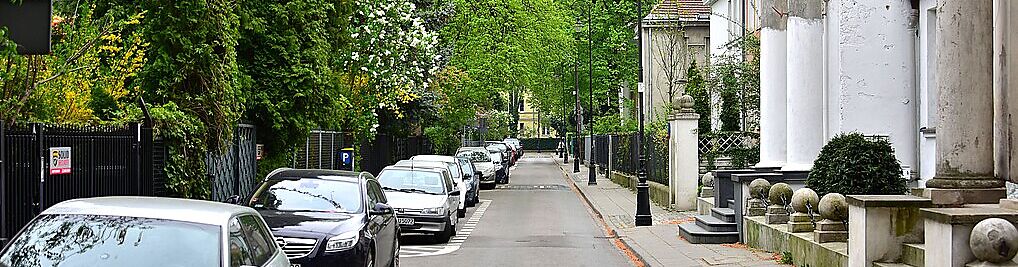 Zdjęcie w galerii Langiewicza Mariana, gen. Warszawa nr 1