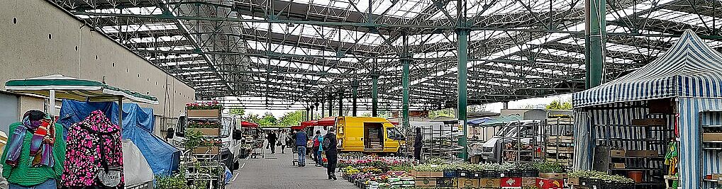 Zdjęcie w galerii Plac Imbramowski Kraków nr 1