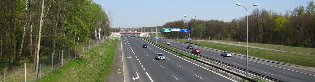 Zdjęcie w galerii Pszczyńska Katowice nr 1