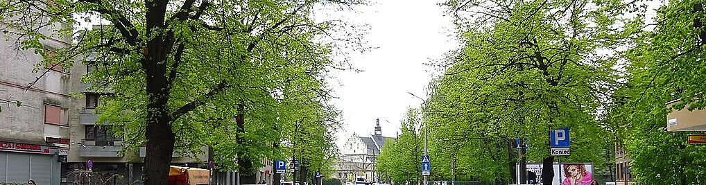 Zdjęcie w galerii Senatorska Kraków nr 1