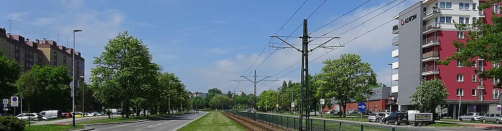 Zdjęcie w galerii Srebrnych Orłów Kraków nr 1