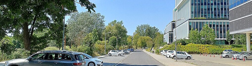 Zdjęcie w galerii Tarniny Warszawa nr 1