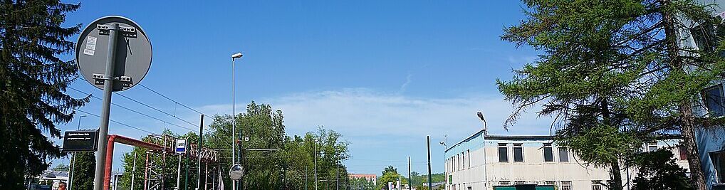 Zdjęcie w galerii Ujastek Kraków nr 1