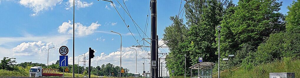 Zdjęcie w galerii Ujastek Mogilski Kraków nr 1