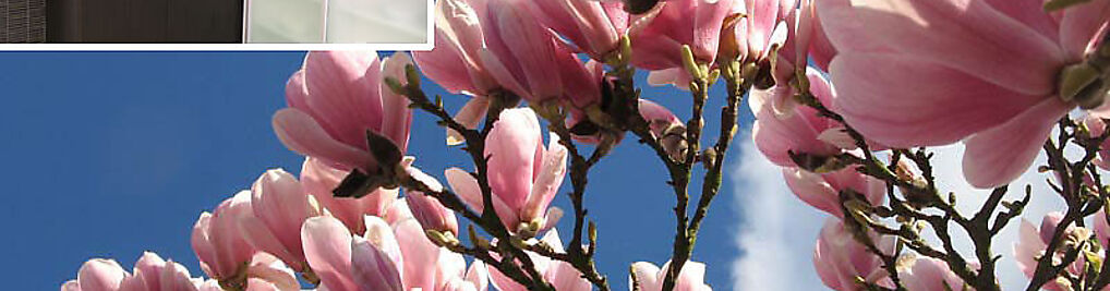 Zdjęcie w galerii Dekografix - SERWIS nr 5