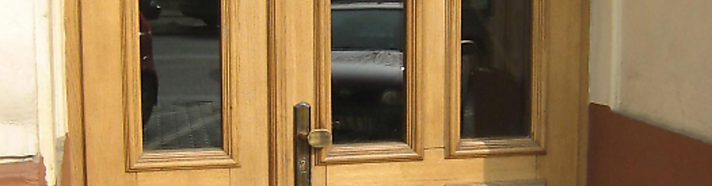 Zdjęcie w galerii Hugo nr 4