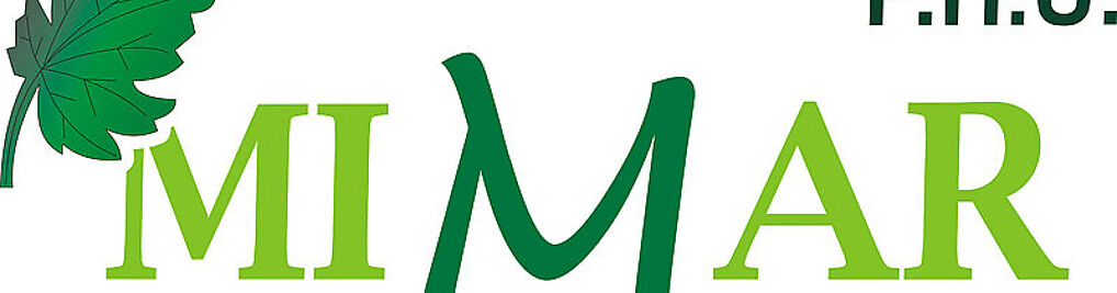 Zdjęcie w galerii Mimar nr 1