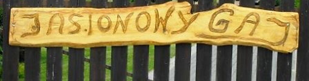 Zdjęcie w galerii Jasionowy Gaj nr 6