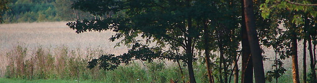 Zdjęcie w galerii Agroturystyka Wilcze Laski nr 5