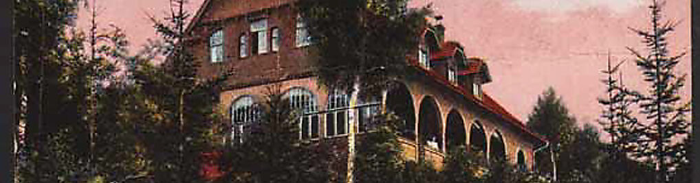 Zdjęcie w galerii Leśny Gród nr 3