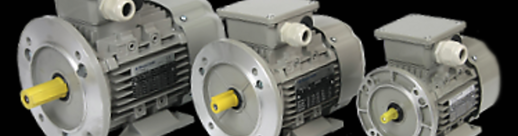 Zdjęcie w galerii Sel Wojciech Markiewicz nr 2