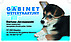 Logo - Gabinet Weterynaryjny lek. wet. specjalista chorów psów i kotów 57-300 - Weterynarz, godziny otwarcia, numer telefonu