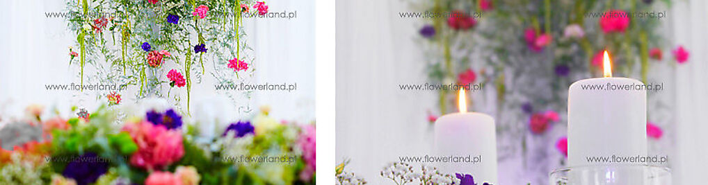 Zdjęcie w galerii Kwiaciarnia Flower Land Hubert Lamański Mistrz Florystyki nr 2