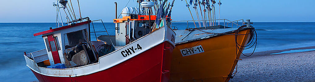 Zdjęcie w galerii DOMKI GROSZEK nr 10