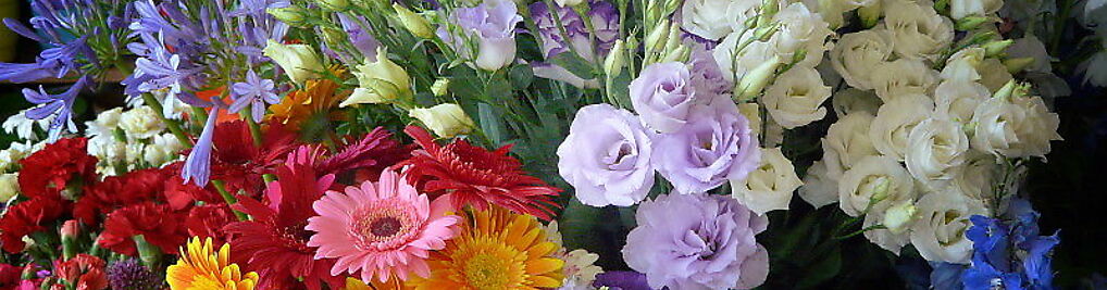 Zdjęcie w galerii kwiaciarnia KWIATOSTACJA nr 1