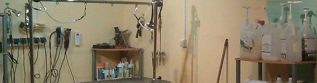 Psi Fason Salon Pielęgnacji Psów Antoniuk Fabryczny 24 15 741