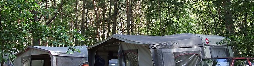 Zdjęcie w galerii POLE NAMIOTOWE LEŚNE nr 6