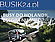 Logo - Transport Międzynarodowy busik24, Łyskowskiego Ignacego 1, Toruń 87-100 - Usługi transportowe, godziny otwarcia, numer telefonu