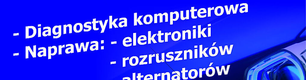 Zdjęcie w galerii Elektronika Samochodowa nr 1