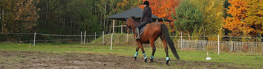 Zdjęcie w galerii Hvast Cheval Blanc Stable nr 2