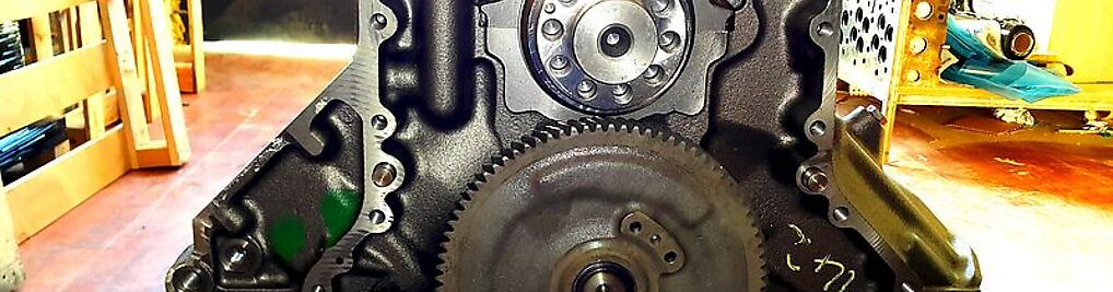 Zdjęcie w galerii BAPPSI nr 2