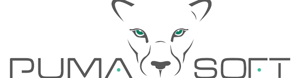 Zdjęcie w galerii PuMa Soft nr 1