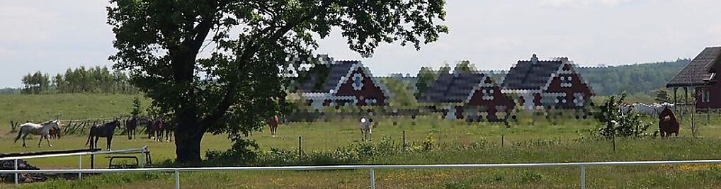 Zdjęcie w galerii Pirat domki letniskowe - Ferienhäuser nr 1