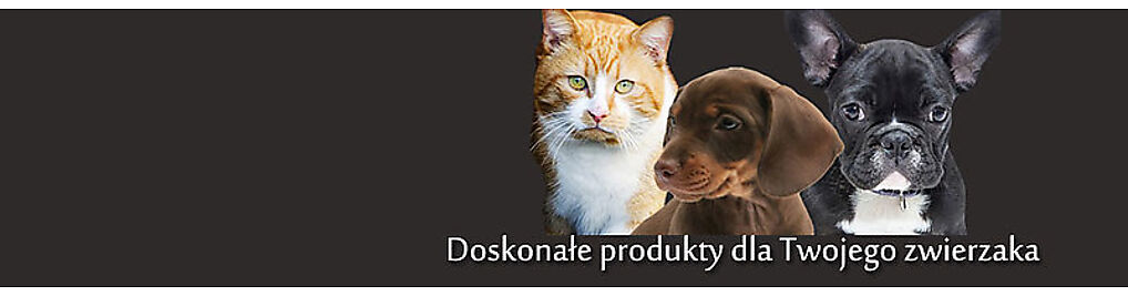 Zdjęcie w galerii spikyzoo.pl nr 2
