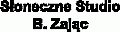 Logo - Słoneczne Studio-Solarium. Bożena Zając, Zelenay Anny 10 57-300 - Solarium, numer telefonu