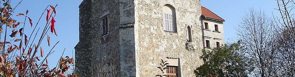 Zdjęcie w galerii Wieża Ariańska nr 1