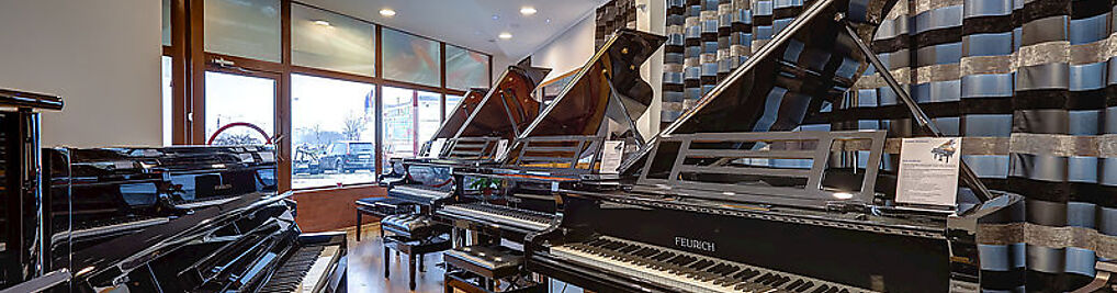 Zdjęcie w galerii Fortepiano nr 1