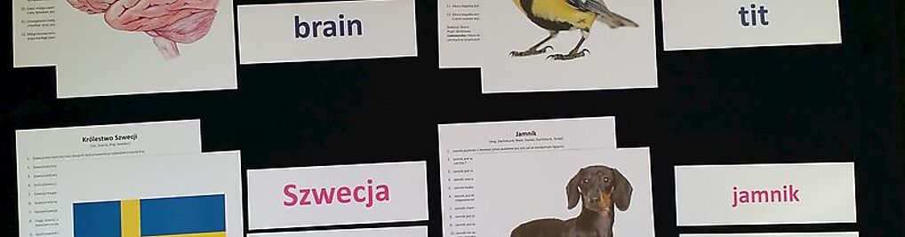 Zdjęcie w galerii Instytut Rozwoju Małego Dziecka nr 3